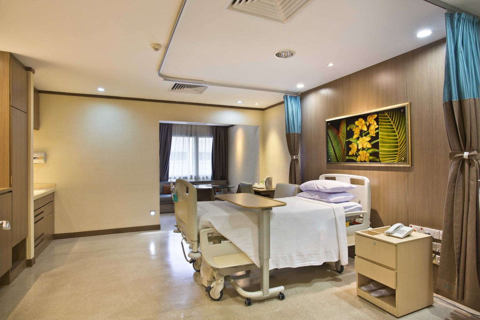 Thomson_Medical_Centre_Chancery_Suite_room.png