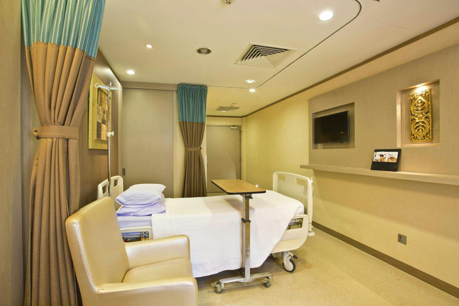 Thomson Medical Centre premier single room view from guest sofa